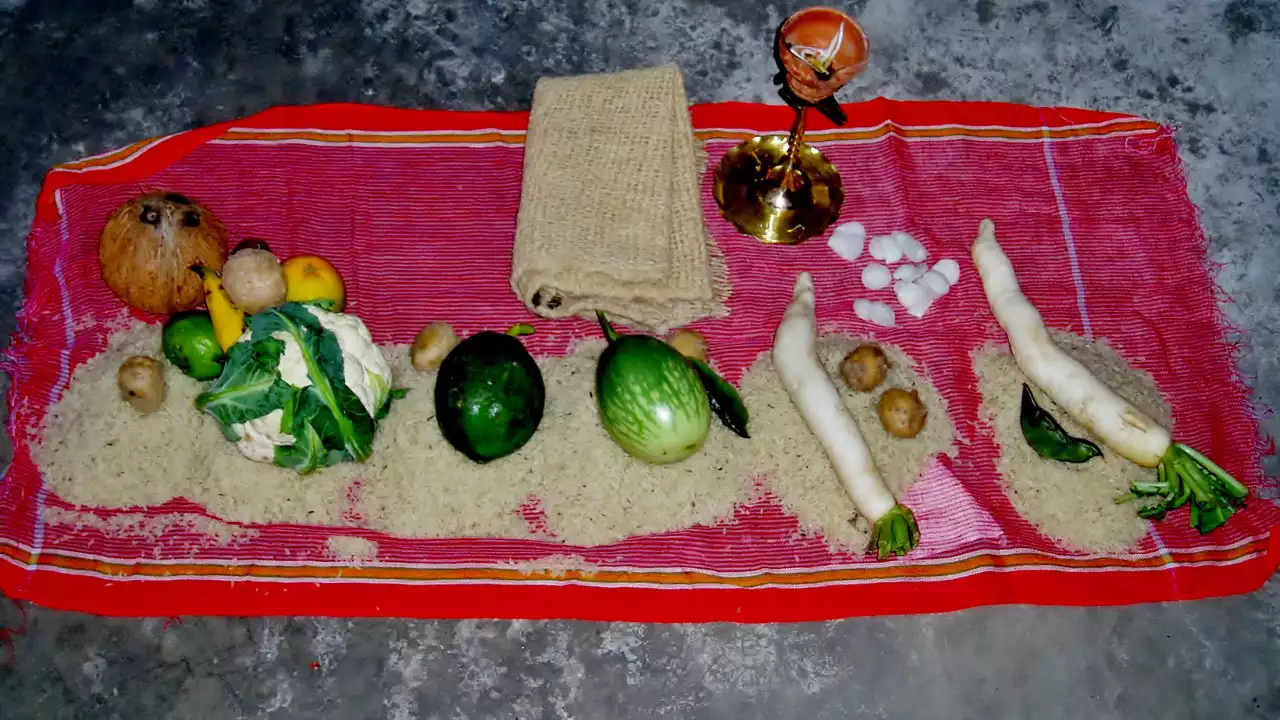 Anna Daan at Magh Mela