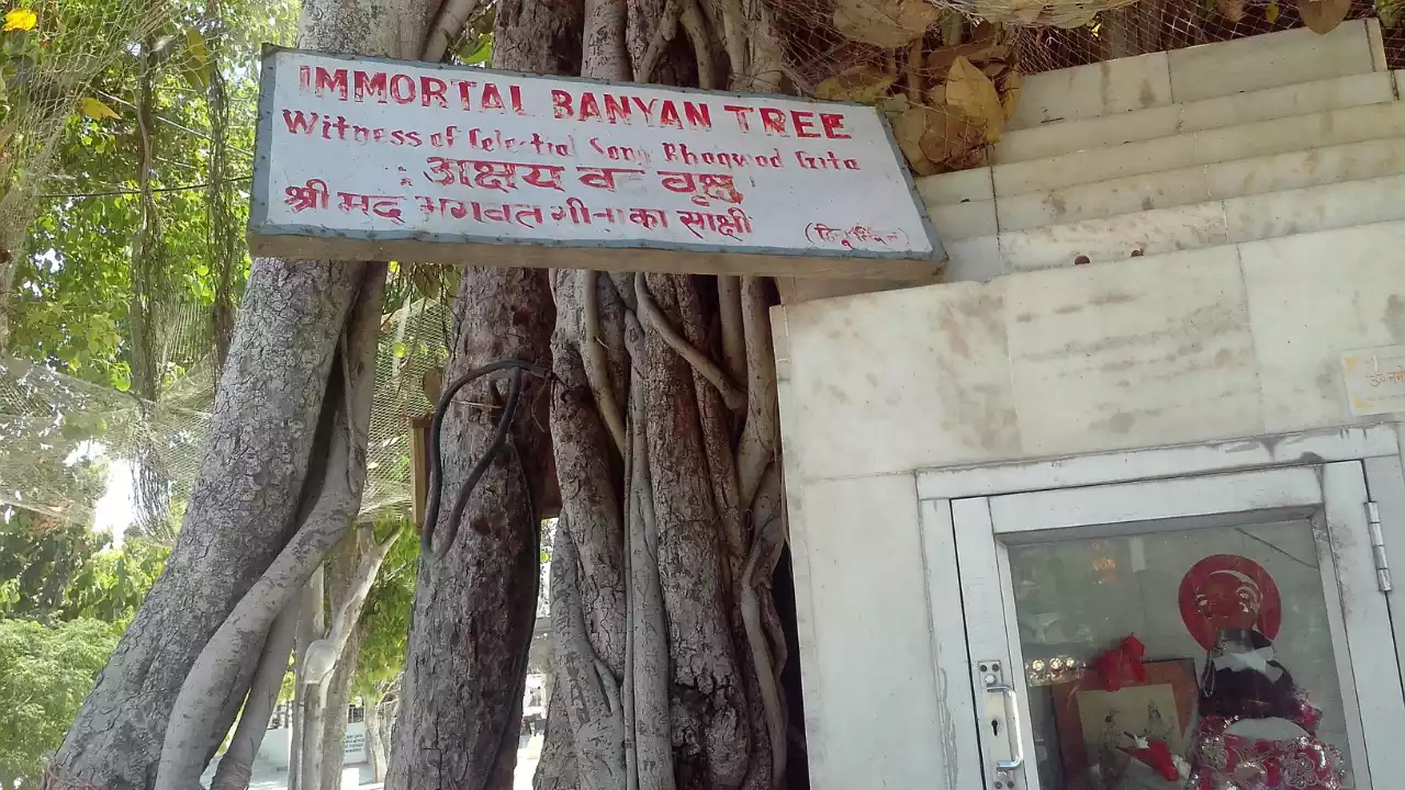 Top 5 Temples to Visit in Prayagraj: A Magh Mela Pilgrim's Guide 6 Sri Akshayavat Temple Patalpuri- Top 5 Temples to Visit in Prayagraj